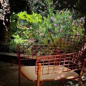  Appartement Loquat House Nel Giardino Segreto In Zona Vaticano Italie